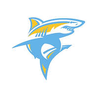 Long Island University