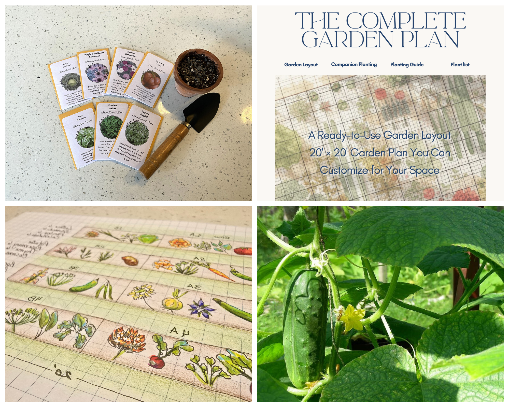Direct Sow Seed Bundle for The Complete Garden