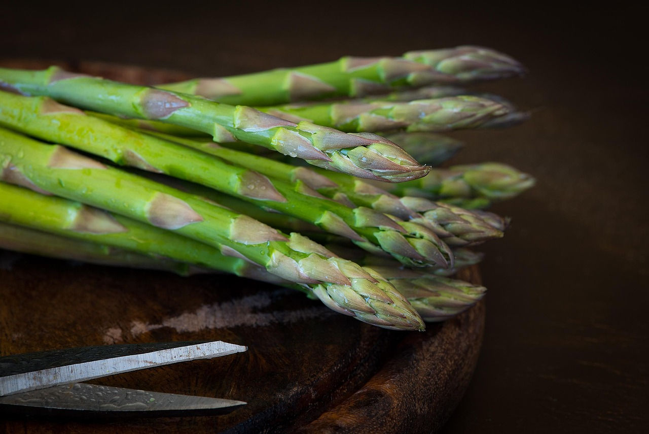 Asparagus Mary Washington