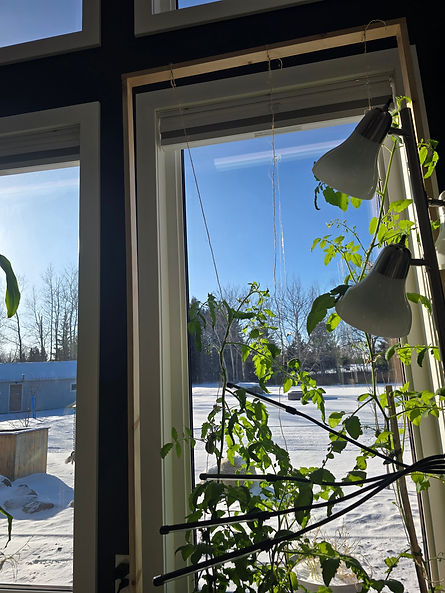 20251206_122834 (1).jpg