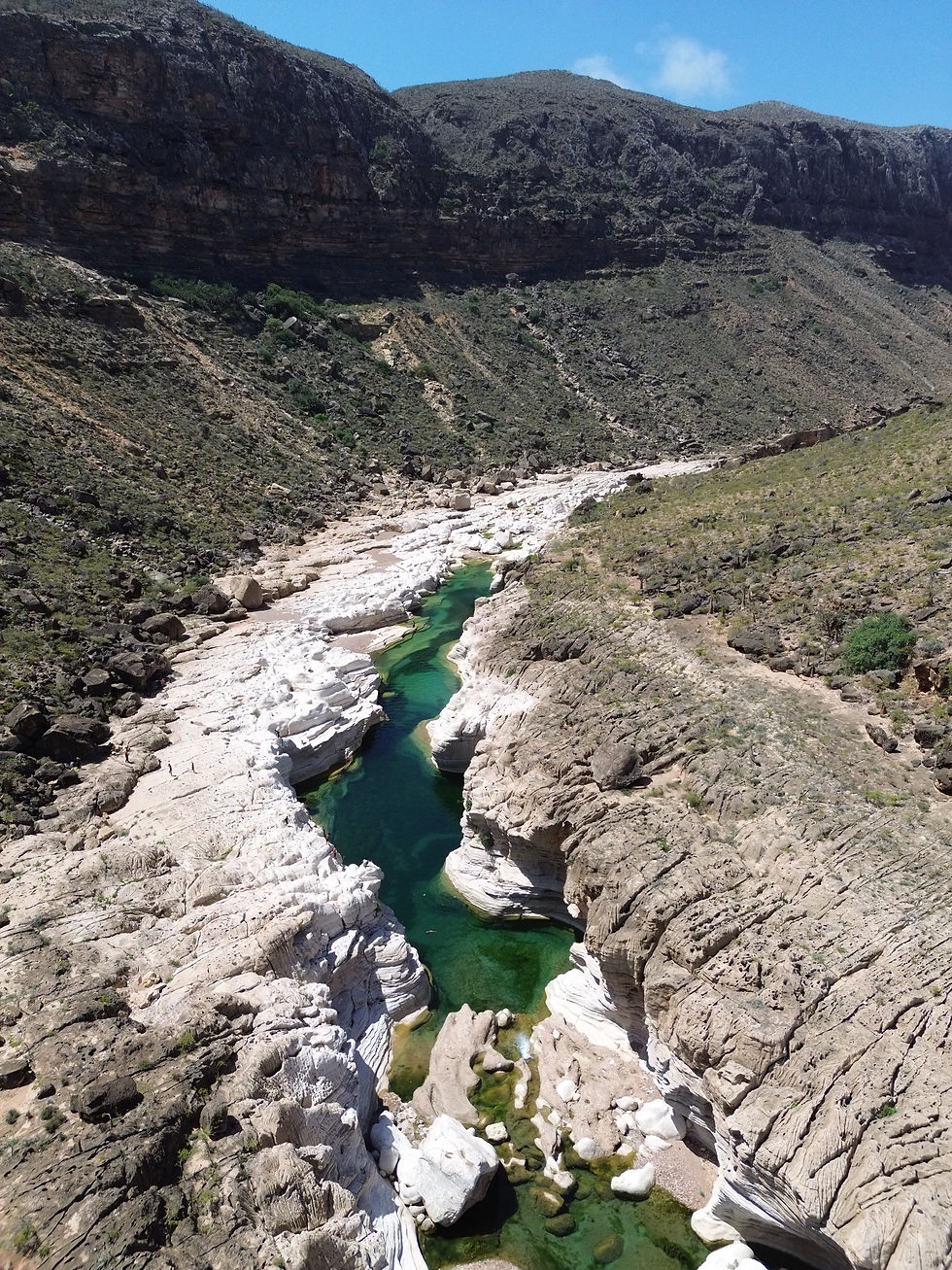 WhatsApp Image‏ 2025-10-04 at 12.13.15 (1).jpeg