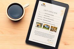 gift-voucher-wainui-seaside-glamping-62.jpeg