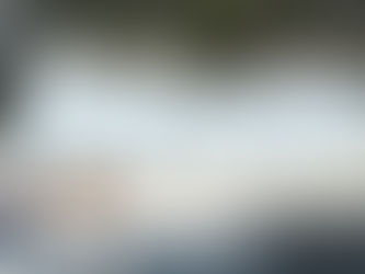 Top things to do in Whakatane during your stay