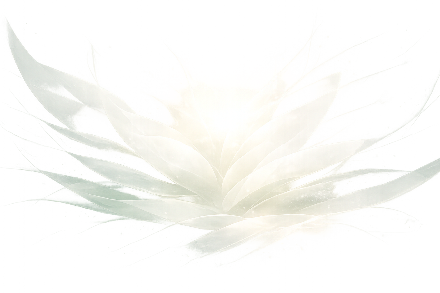 e2db8aa6-c37a-4f1e-a55c-5f5e97ea0d66.png