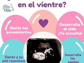 ¿Qué siente tu bebé en el vientre?