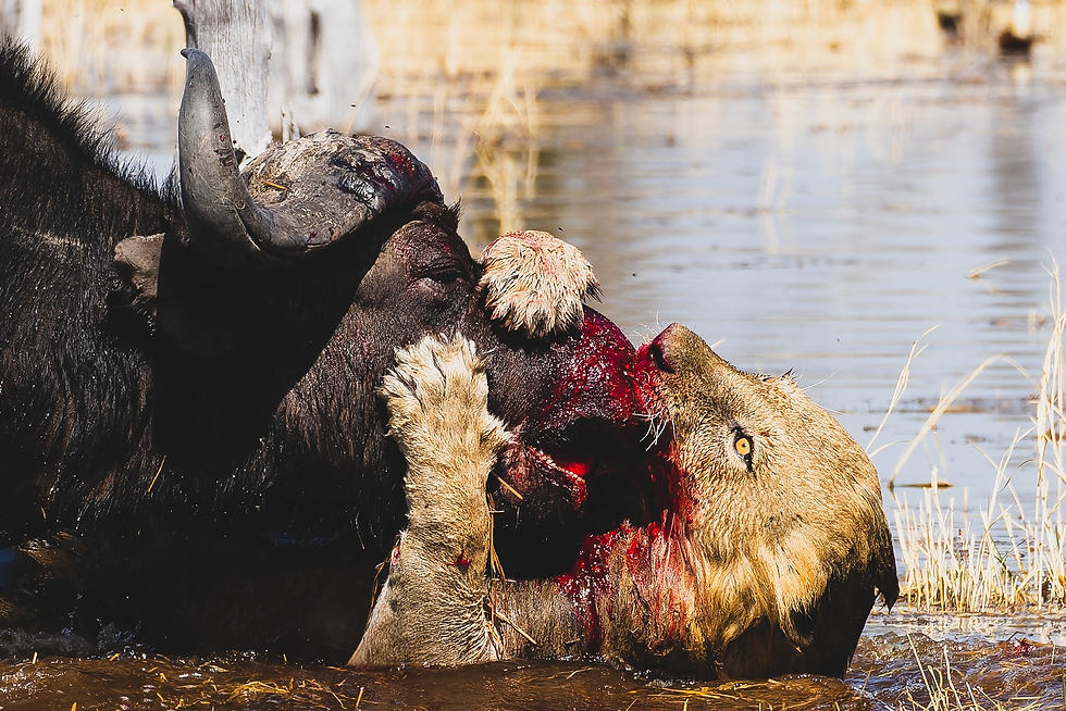 Schermata 2023-07-26 alle 16.09.25