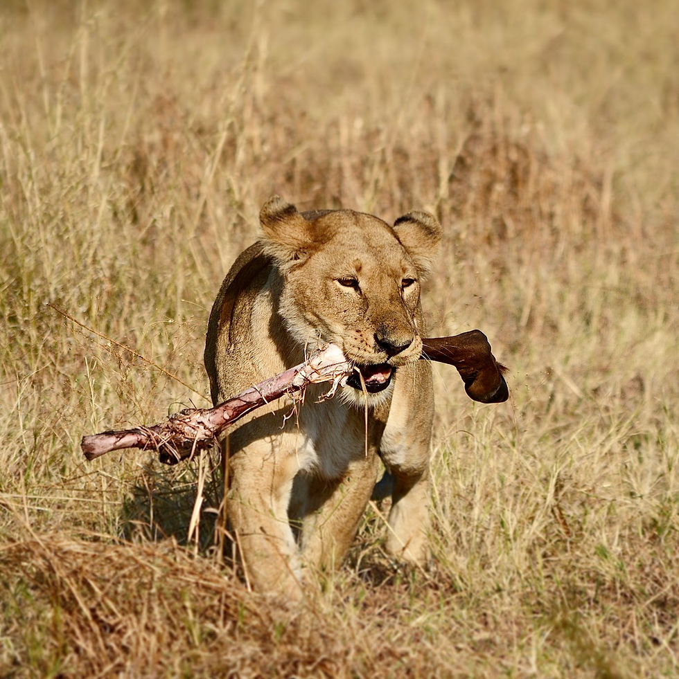 Schermata 2023-07-27 alle 22.14.31
