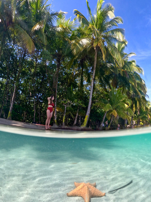 Come andare a Playa Estrella Bocas del Toro