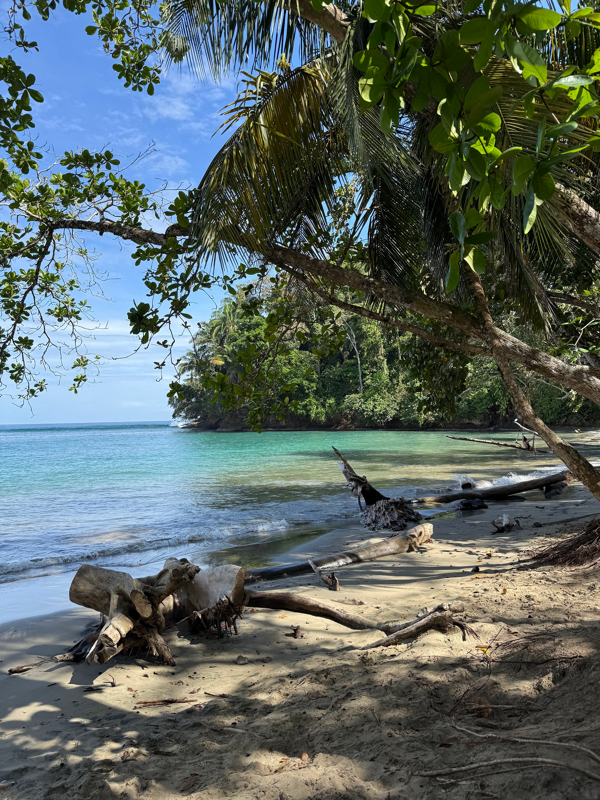 Attività da fare a Puerto Viejo, Costa Rica