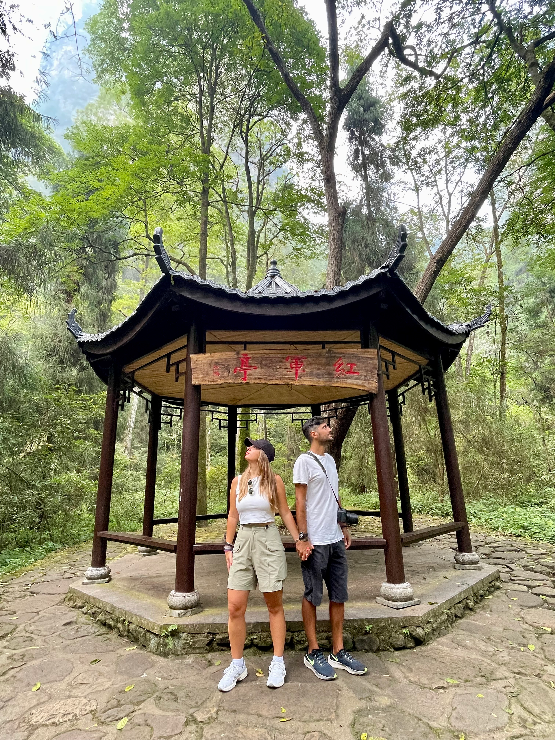 Guida completa Zhangjiajie