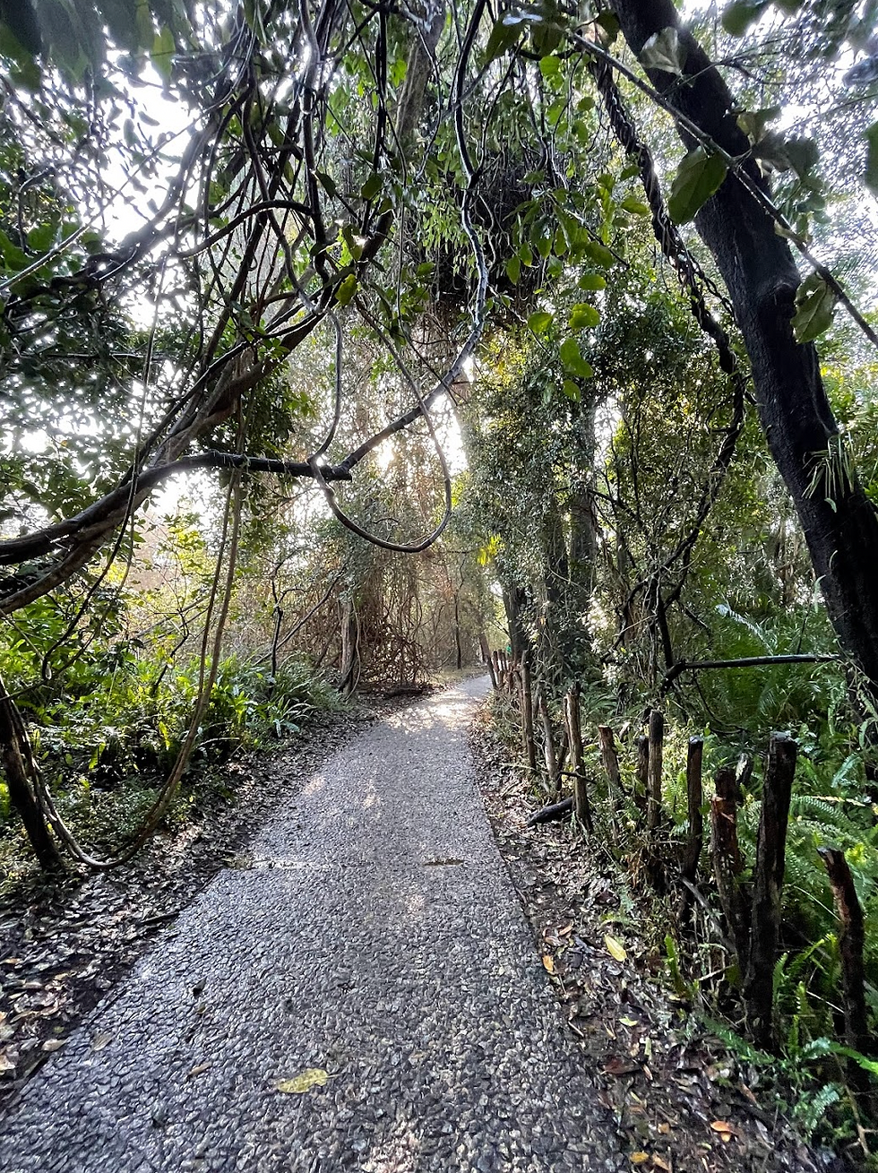 Schermata 2023-07-27 alle 22.29.08