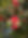 IMG_3316.jpeg