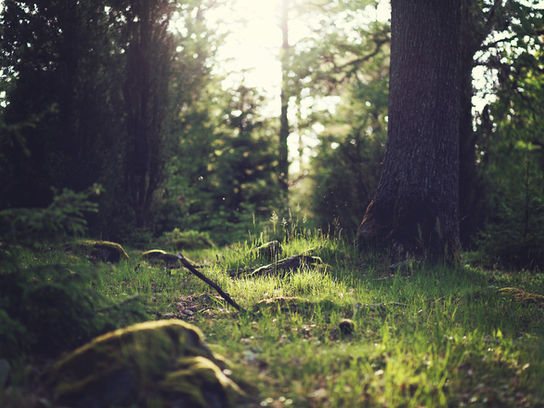 Secreto para encontrar la Felicidad