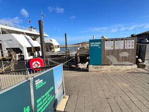 The Kangaroo Island: A Journey in Chapters