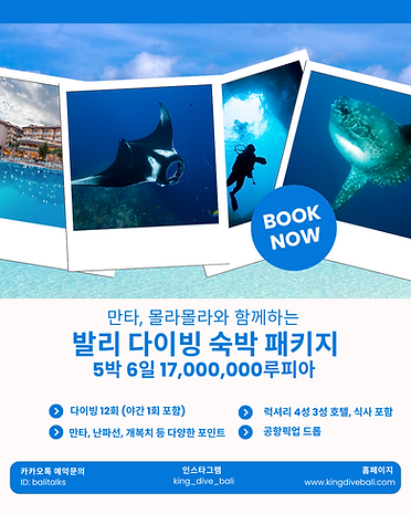 발리 스쿠버 패키지 (1).png