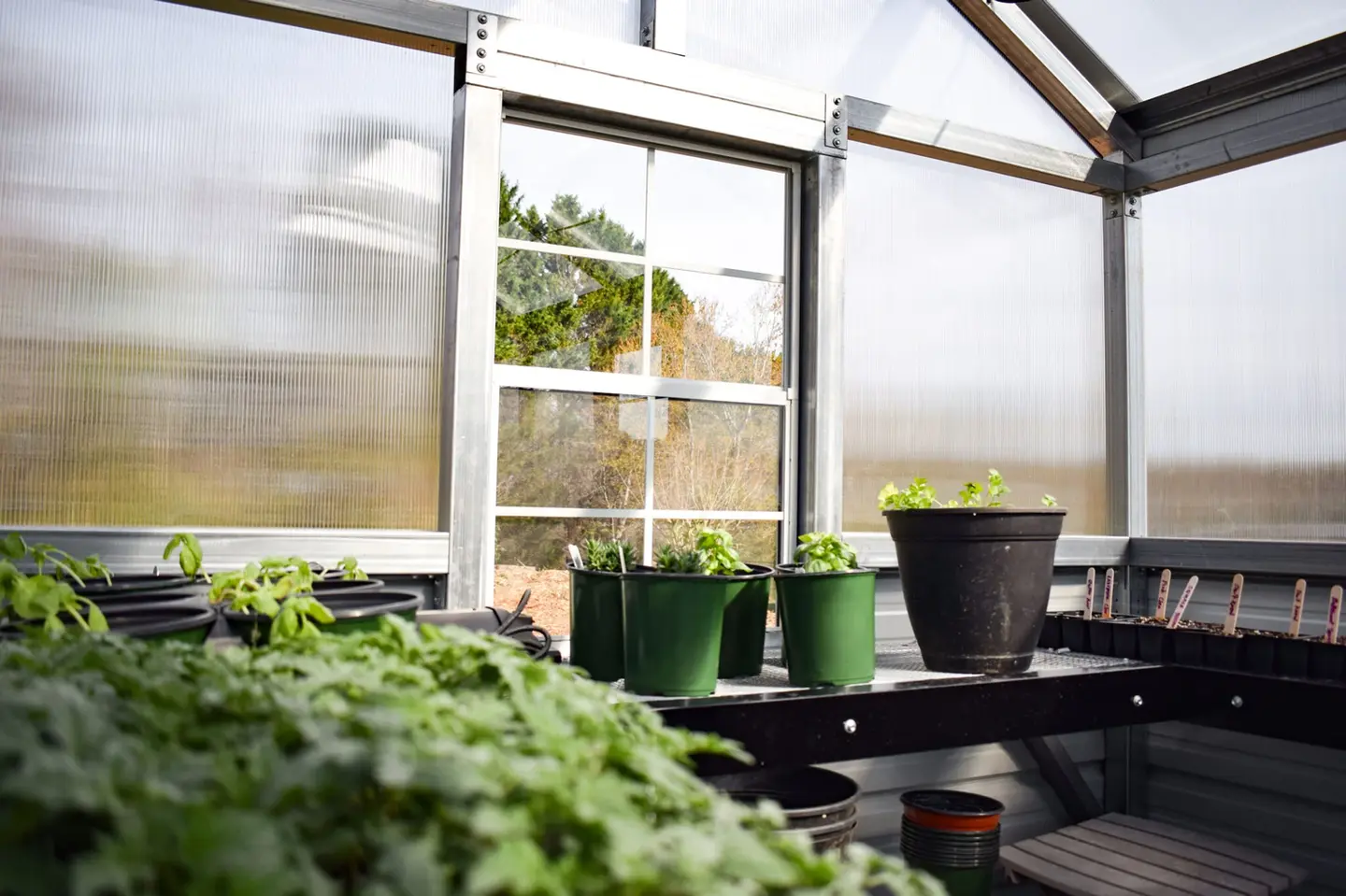 8x16 Victorian interior with potted plants Double-wall Poly
