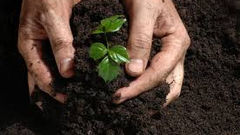 APOYANDO EN EL CUIDADO DEL MEDIO AMBIENTE.