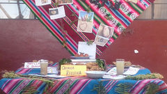 ALIMENTACIÓN RICA Y SALUDABLE.