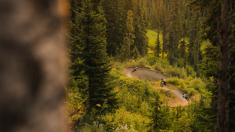 sherrard.SunPeaks26.BikePage-5.jpg
