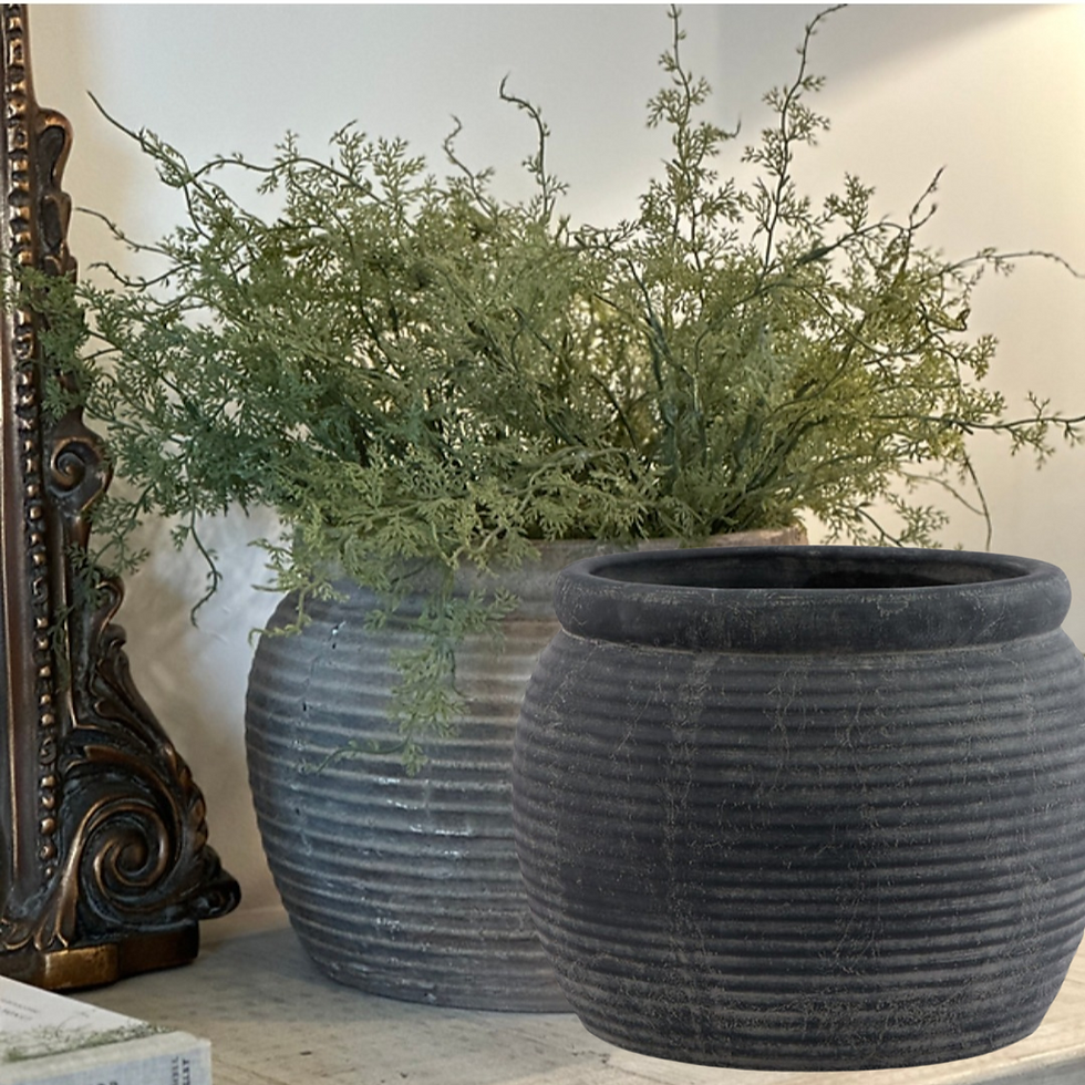 Thumbnail: Aurelia Ribbed Squat Vase with 3 x  Asparagus Fern | Offer