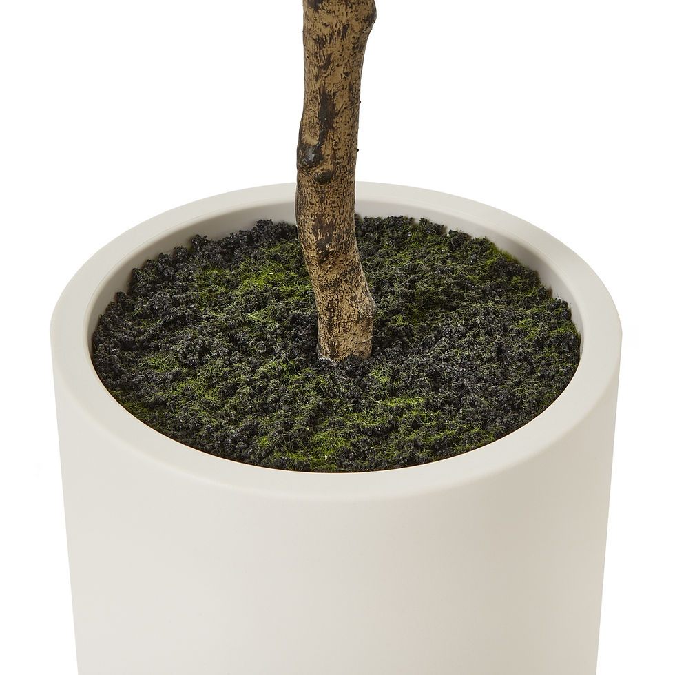 Thumbnail: Mediterranean Style Faux Olive Tree | 180cm