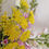 Thumbnail: Detail of Realistic Faux Yellow Fennel Spray