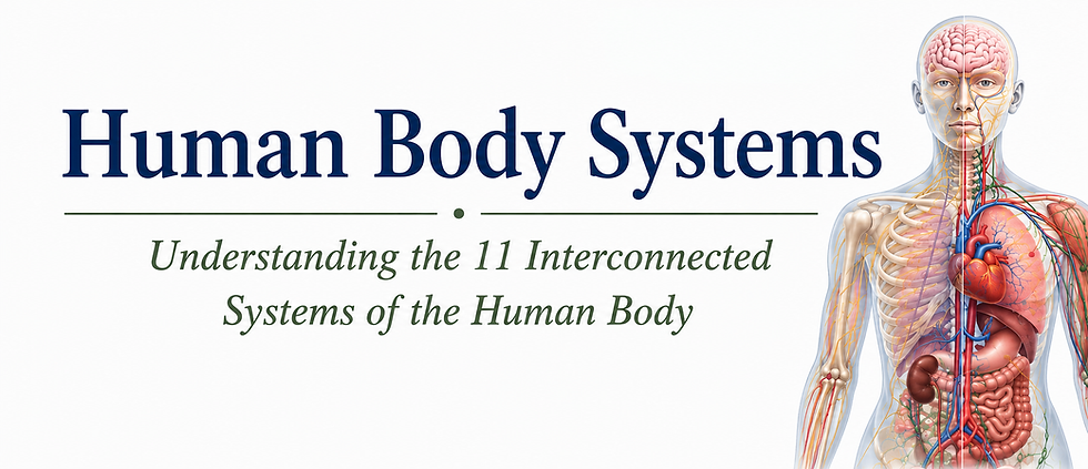 Human Body Systems.png