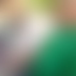 Entrevue dans un village Peulh