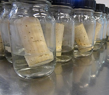 Single Cork Soak