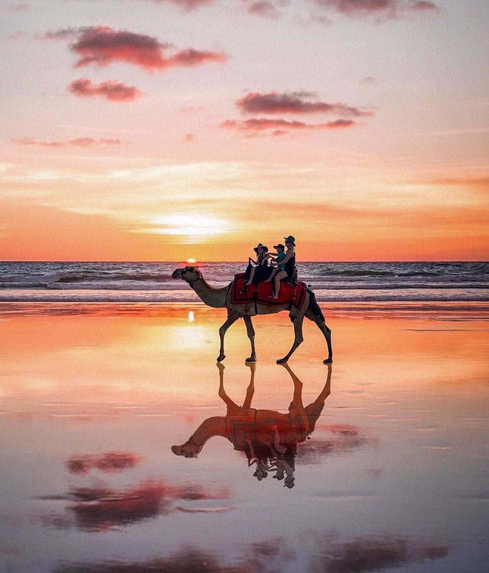 Cable Beach camel ride, Travel Guide Western Australia