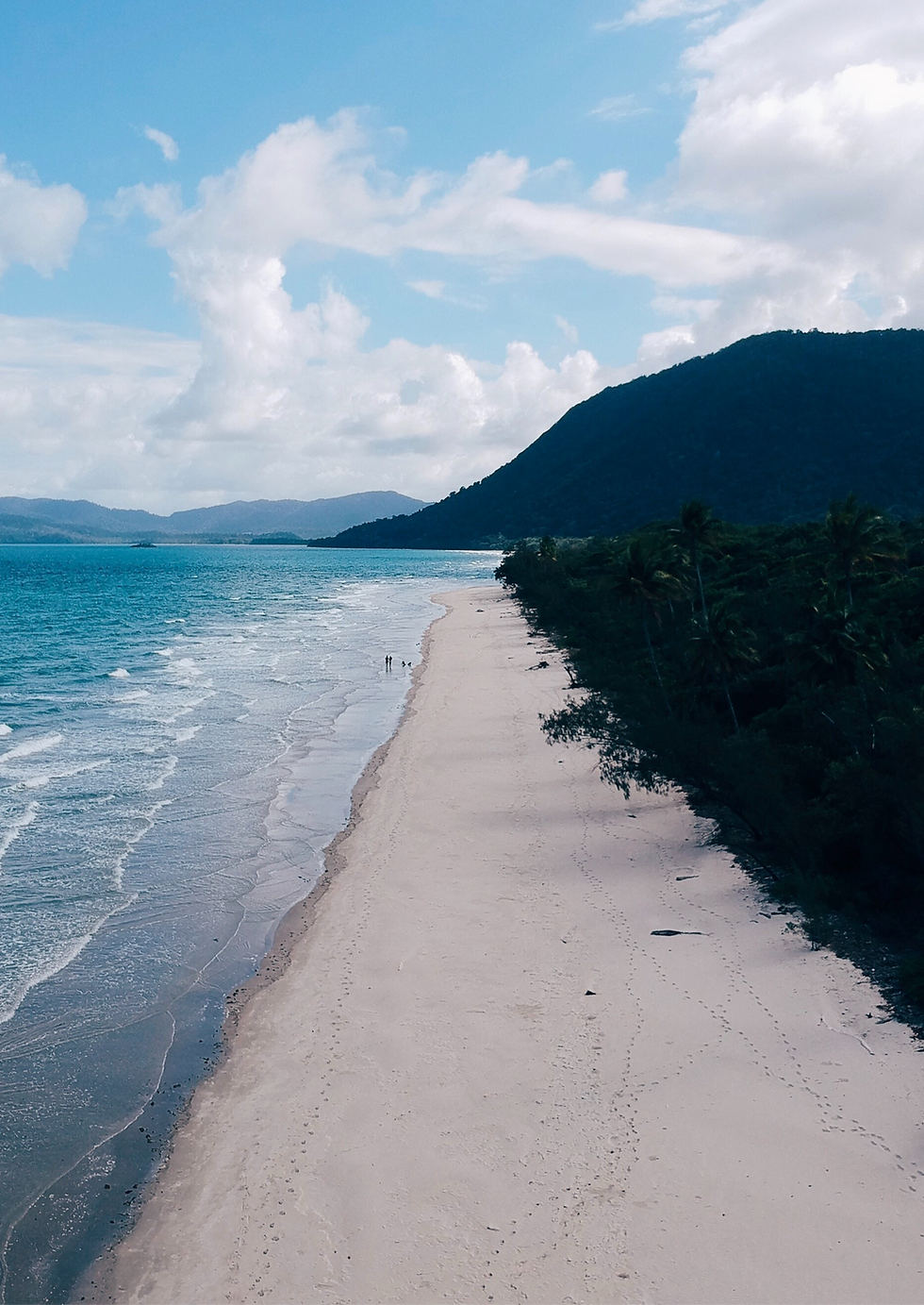 Aerial view of a beach in Daintree National Park for a Travel Guide Queensland.