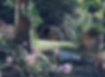 Tranquil Garden Scene_edited.jpg