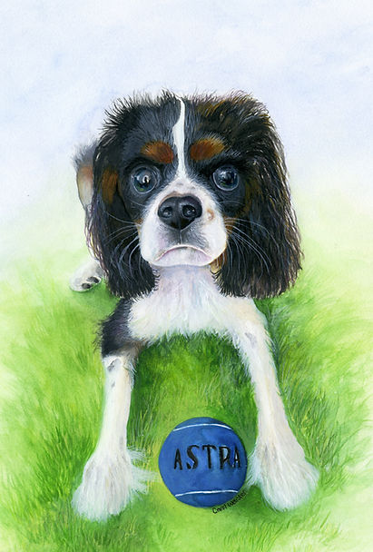 Astra Compressed_edited.jpg