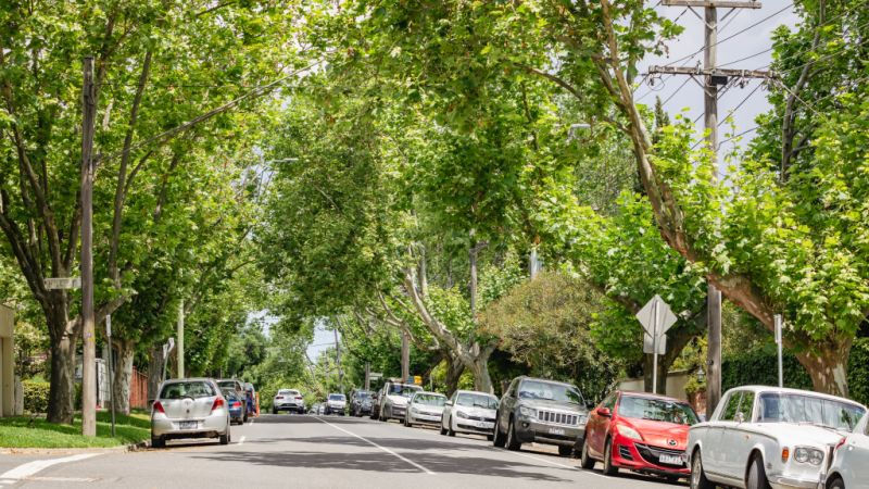 Domain_Neighbourhood_Toorak-57_pefrdq-2.jpg