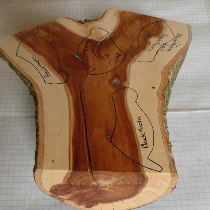 Wood needs time to dry