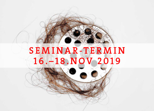 seminar haar sprechstunde 2 dauer 3 tage ort koln 4 8 teilnehmer haarpraktiker