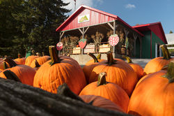 kiosque d'automne