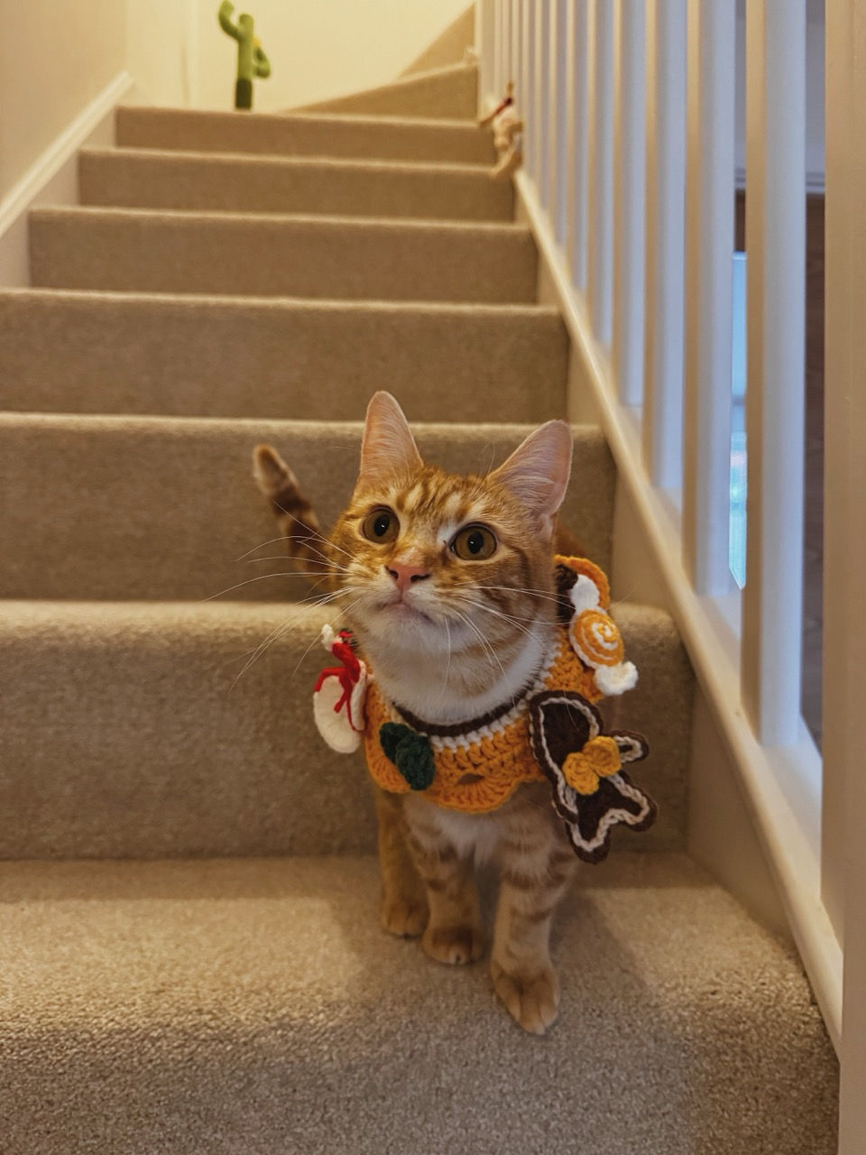 PETTONE Christmas Collar - Snowman & Gingerbread ☃️
