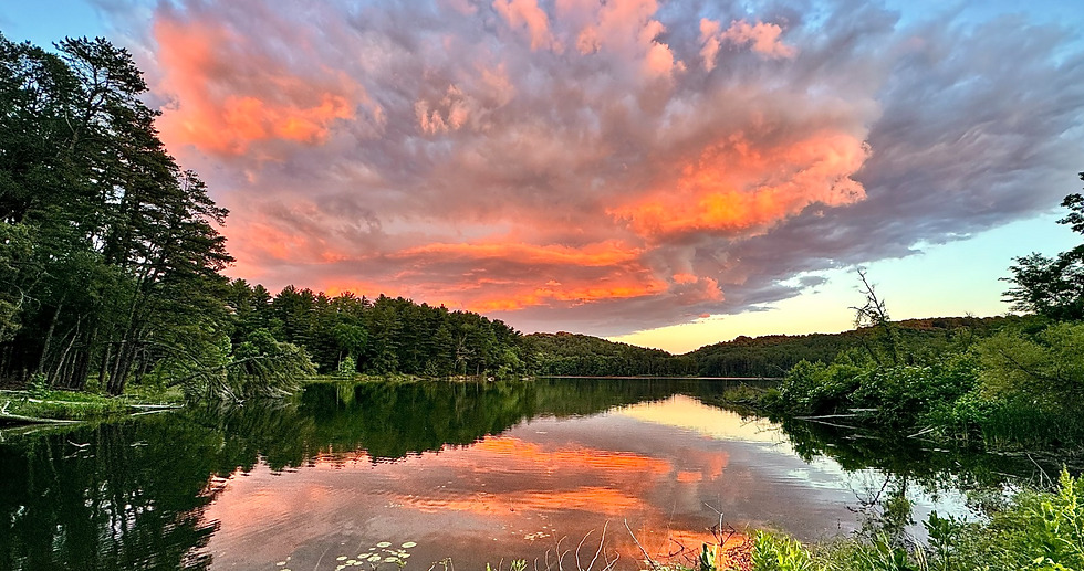 Screenshot 2025-02-23 133853.png