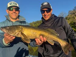 b82cdb44-7f66-4393-b4ea-87b2422f1775