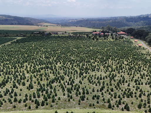 Gobierno de Puebla y CONAGUA impulsan acciones en el nacimiento del Río Atoyac