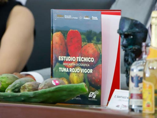 UTH entregó a IMPI estudio para Indicación Geográfica de tuna de Acatzingo