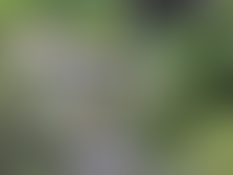 Realiza CEASPUE supervisión de descargas en Chietla para fomentar seguridad hídrica