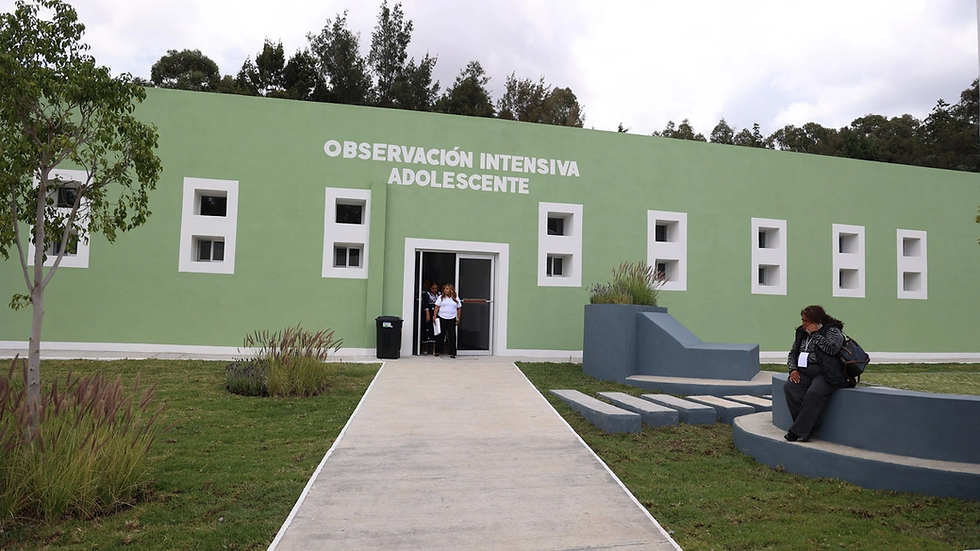 Autismo, epilepsia y TDAH son los problemas mentales más comunes en Puebla
