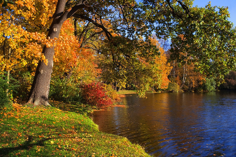 Herbststimmung