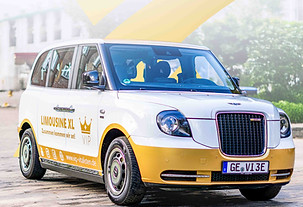 LEVC_flyer.jpg
