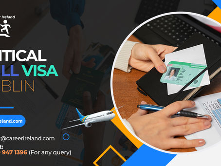 The Importance of a Critical Skill Visa and a General Employment Permit