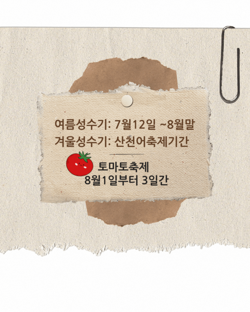 예약성수기안내.gif