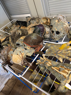 Harry Liebling x Huber x MWC