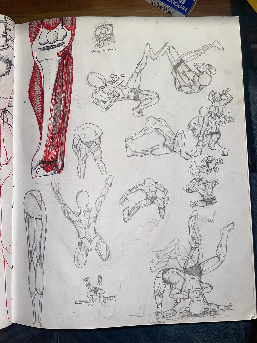 Sketchbook Anatomy 4